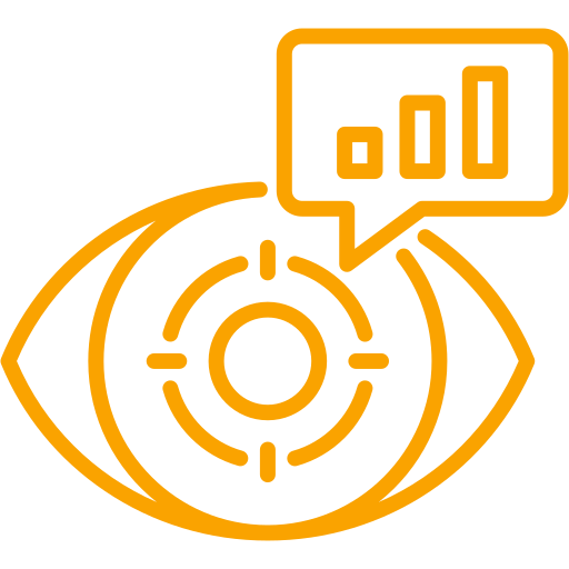 Director of Resolution Company Vision icon